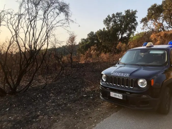 Gimigliano, arrestato 80enne per incendio boschivo: distrutti 37mila mq di bosco
