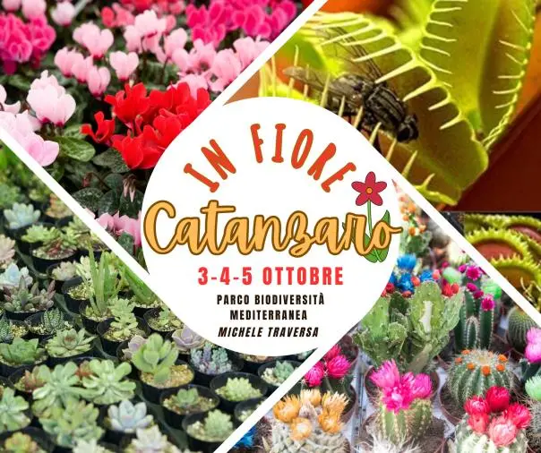 A Catanzaro la XV Mostra nazionale dell’Arte Bonsai e Suiseki (IL PROGRAMMA)

 
