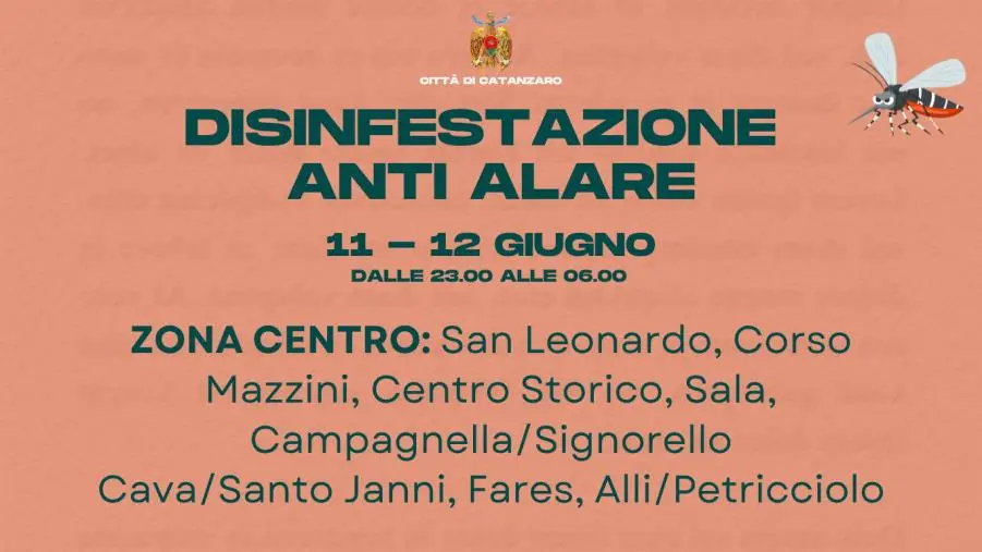 images Catanzaro, disinfestazione anti-alare: interventi notturni nel centro città tra l'11 e il 12 giugno 