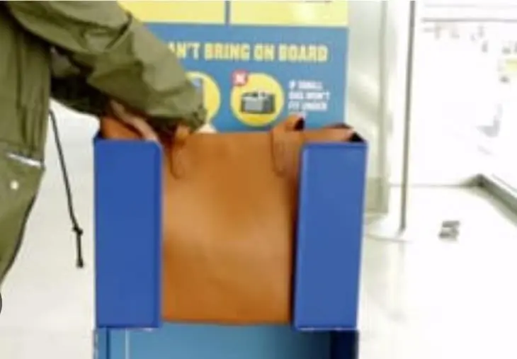 images Ryanair, bonus ai dipendenti per ogni bagaglio fuori misura: scoppia la polemica