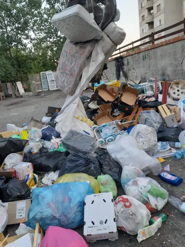 Catanzaro, l'Associazione Eden: "Bene la rimozione dei rifiuti all'Aranceto ma siano installate le fototrappole" 