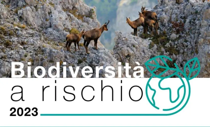 Giornata mondiale della biodiversità, Legambiente: "Servono risorse finanziarie ordinarie e non solo fondi europei"