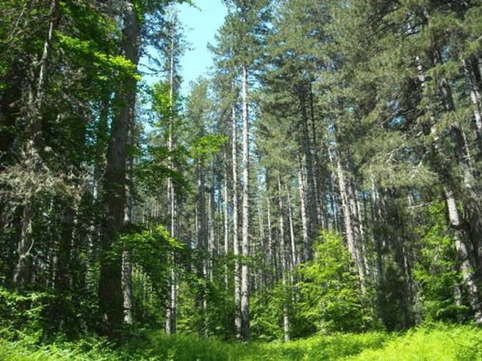 images Gallo: "Dal Psr un milione per i gestori dei Siti Natura"