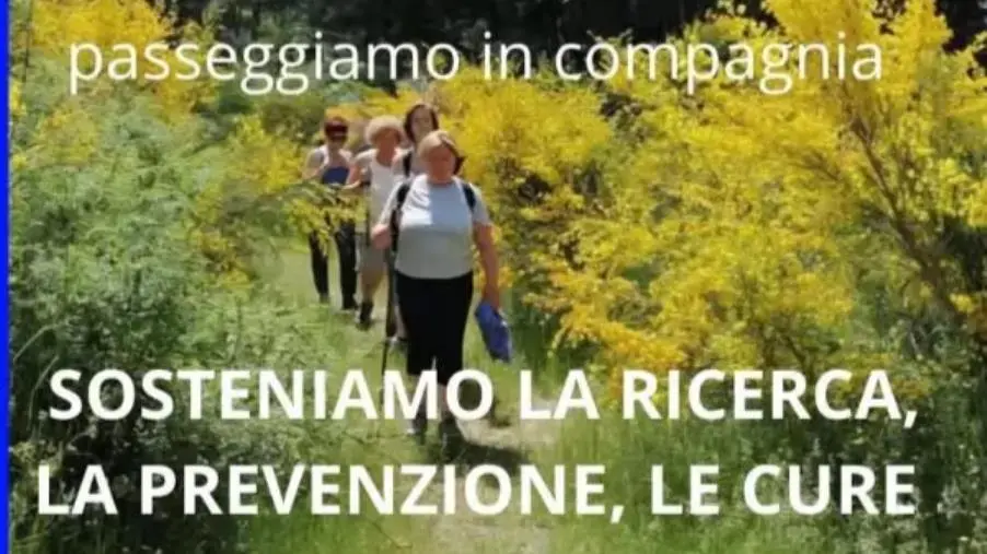 "Per un Respiro in Più", domenica 20 Luglio l'iniziativa di  LIFC Calabria a Serra San Bruno