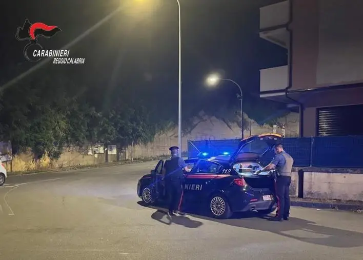 Struttura abusiva, fuochi d'artificio illegali e armi: 4 denunce nel Reggino 