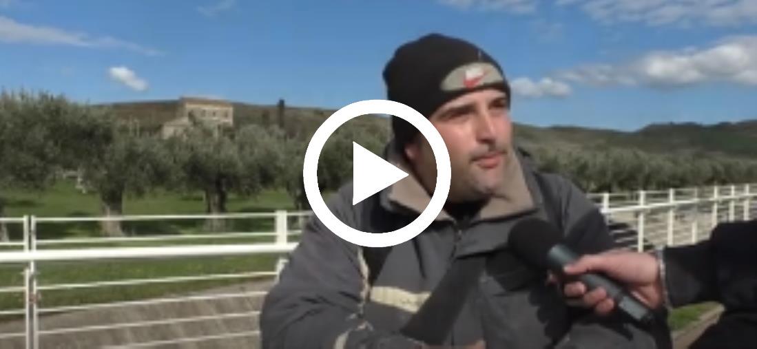 Protesta dei trattori, la disperazione di Danilo da poco papà: "Non possiamo portare un pezzo di pane a casa"   
