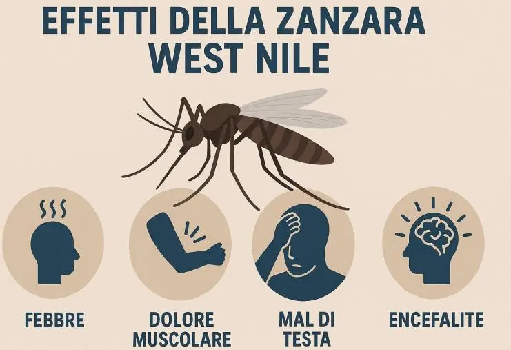 West Nile, le linee guida dell'Asp di Catanzaro sul contrasto del virus