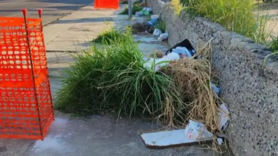 Alleanza per Catanzaro: "Viale Crotone ridotto a una vera e propria discarica"