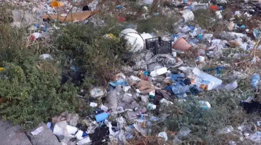 Degrado zona Sud Catanzaro, Costanzo: "Accompagnerò la consigliera Palaia"