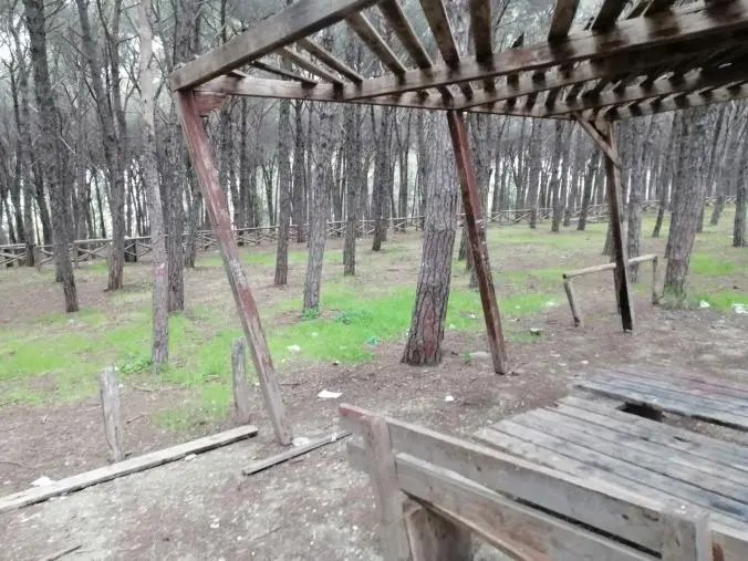 images Pineta di Giovino, Riccio: "Che fine hanno fatto i lavori e i soldi per sistemare la staccionata?"