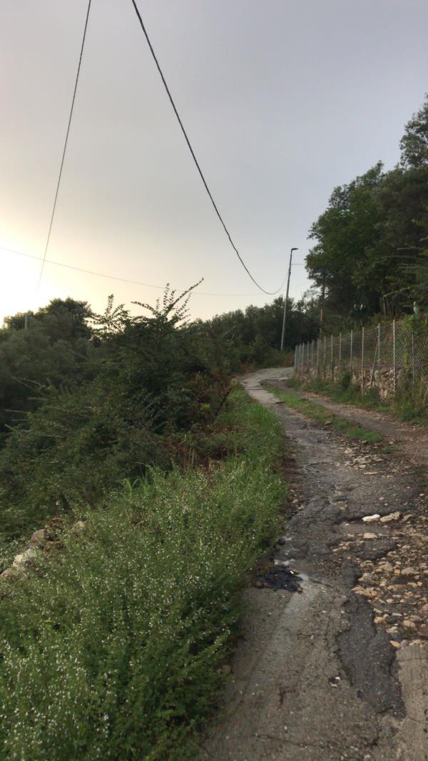 Catanzaro, i cittadini di contrada Ariella al Comune: "Strade ostaggio del degrado"