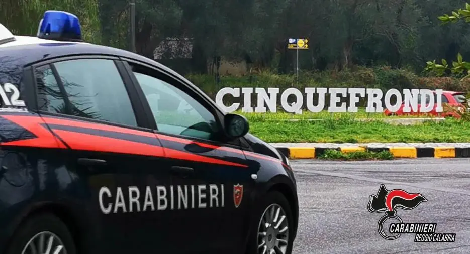 images Denunciati 22 "furbetti del reddito di cittadinanza" nel Reggino 