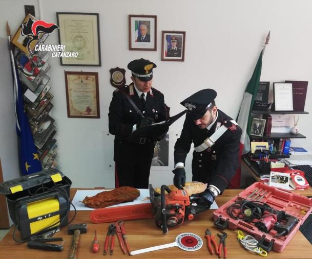 images Rubano attrezzi e dieci chili di salumi: due arresti S.Andrea Apostolo dello Ionio