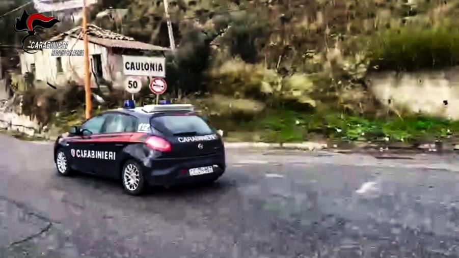 Tagliava illecitamente piante di Eucaliptus in un bosco privato a Caulonia: denunciato un 37enne