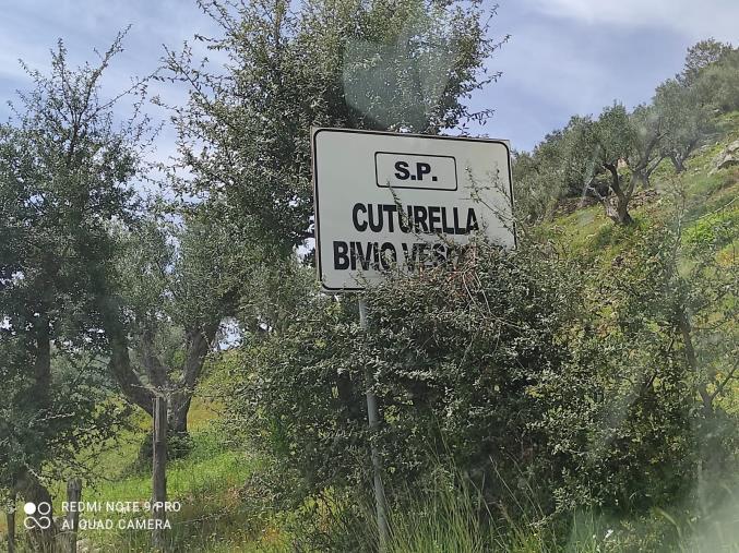 images I dubbi dei cittadini sulla strada che collega Cuturella di Cropani ad Andali: "Quel cartellone parla chiaro"