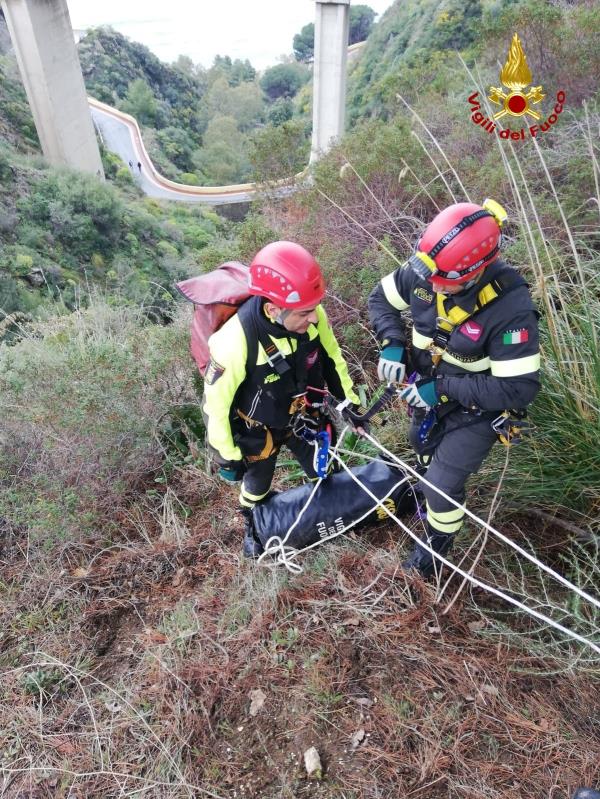 images Anche l'associazione Vitambiente in soccorso del cavallo scivolato in una scarpata a Stalettì (VIDEO)