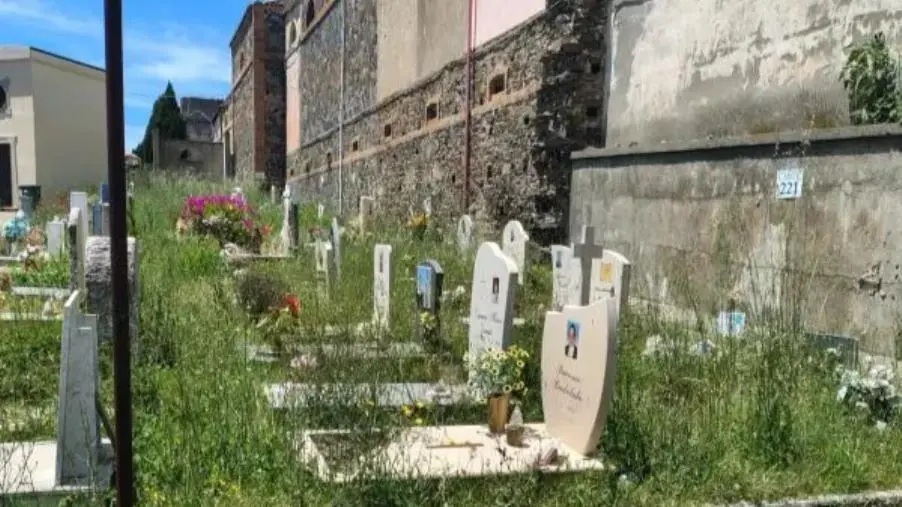 images Degrado al cimitero di Catanzaro, Ciacci: "Urgente un intervento delle autorità competenti"