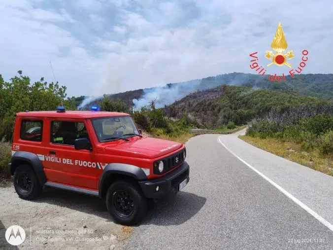 images A fuoco i boschi tra Badolato e Petrizzi: in azione anche diversi canadair