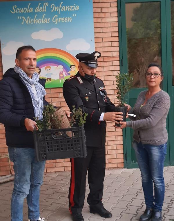 images Catanzaro. I carabinieri celebrano la “Giornata nazionale dell’albero”: rispetto per l'ambiente e la legalità