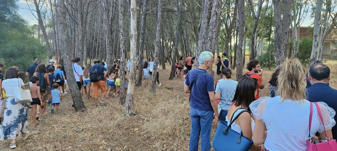 La Capitaneria di Porto consegna la pineta al Comune di Botricello, Puccio: “Una svolta per il territorio”