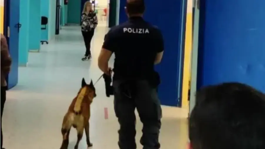 Nelle scuole di Crotone controlli antidroga a tappeto