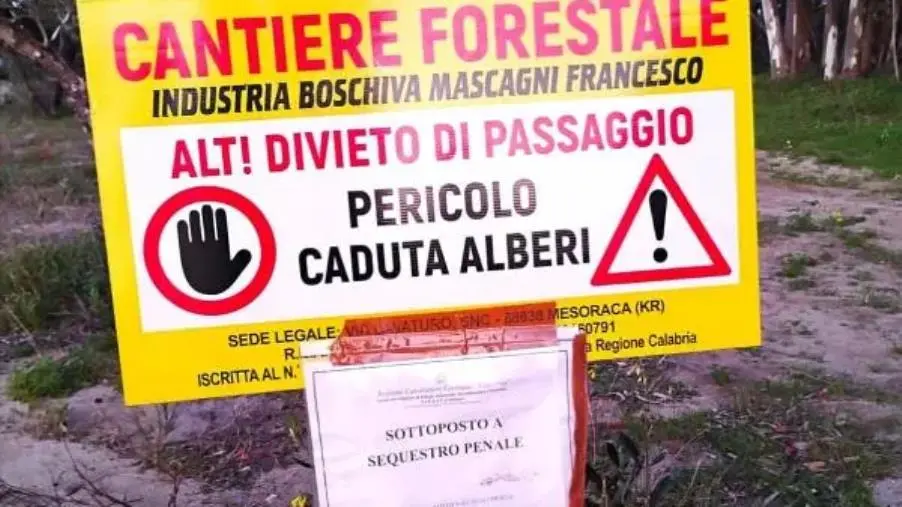 Pineta di Squillace Lido, Belfiore: “Abuso intollerabile contro il territorio e il bene comune”