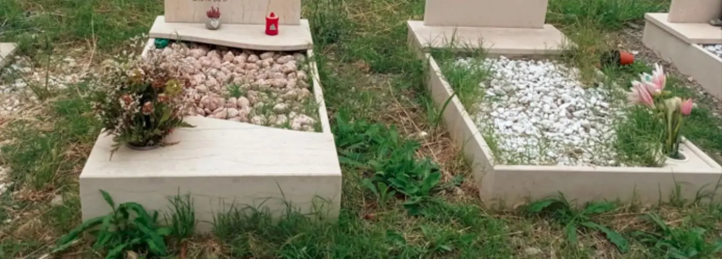 images Ripulito dal personale della Catanzaro servizi il cimitero cittadino 