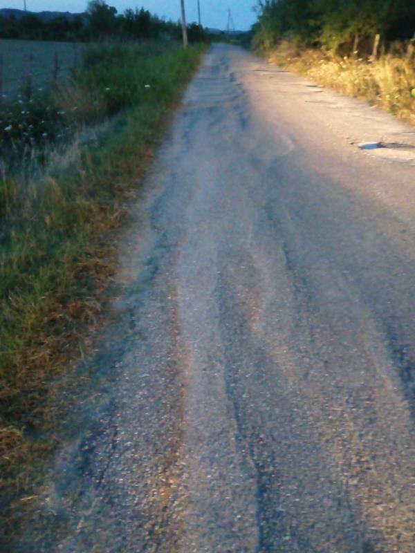 images "Buche e strada dissestata per raggiungere il mare", la protesta del Comitato cittadini Sena di Sellia Marina 