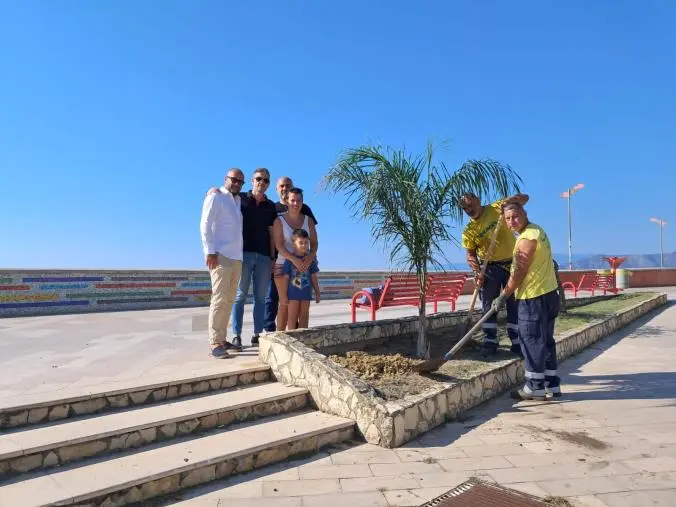 images Un albero per ricordare chi non c'è più: piantumata una palma a Catanzaro Lido in memoria di Gianluigi Mungo