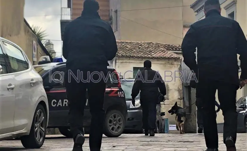 Operazione dei Carabinieri a Simeri Crichi: trovato con cocaina, finisce ai domiciliari
