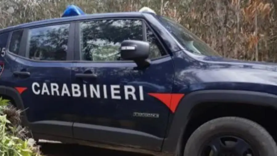 Da Milano a Catanzaro con un pacco di droga: scarcerati tre giovani presunti trafficanti 