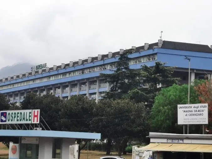 FI Lamezia: “Salvaguardare e potenziare il Polo universitario del San Giovanni Paolo II”