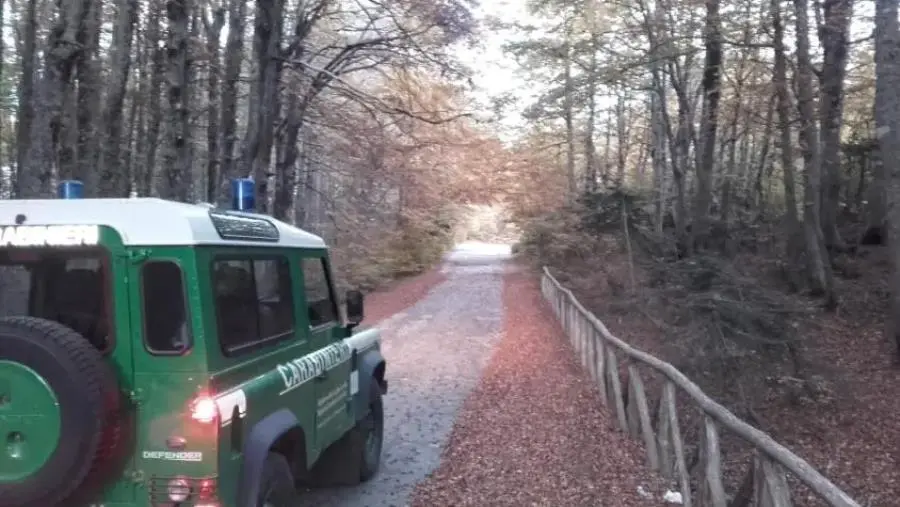 Pascolo abusivo all’interno del Parco nazionale d’Aspromonte: deferito un 26enne