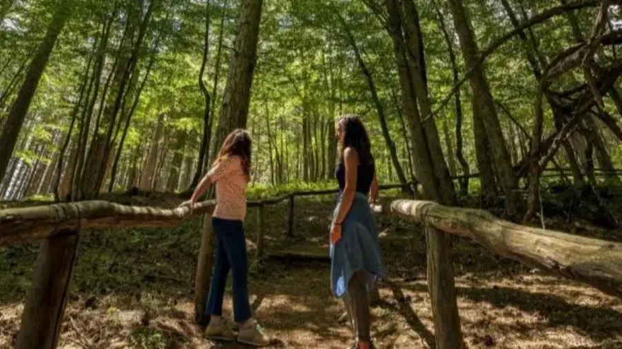 Tornano le sere d'estate FAI ai Giganti della Sila 