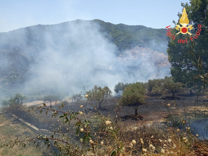 images In fiamme un ettaro di bosco a Taverna