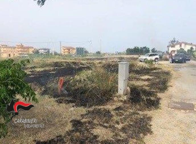 A Davoli Marina incendio causato dalla bruciatura dei residui vegetali