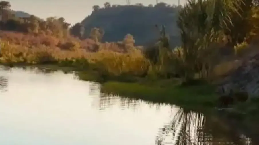 Nasce a Catanzaro “Caninum Dog's Relais”, primo Centro di Formazione Cinofila riconosciuto ENCI
