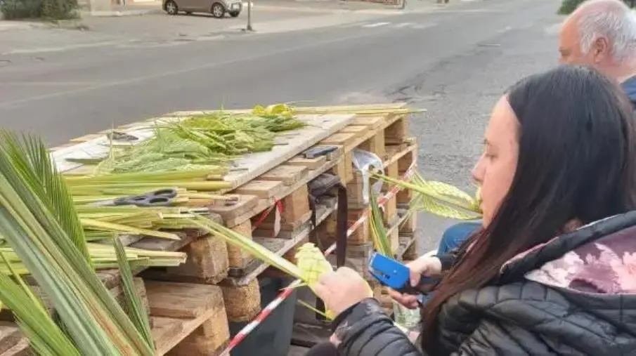 Intrecciare la Pace: dalle Palme di Davoli un messaggio per il mondo