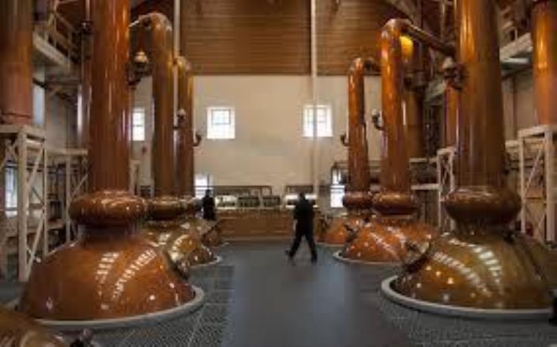 Cosenza. Sequestrata un distilleria abusiva: denunciato il titolare 