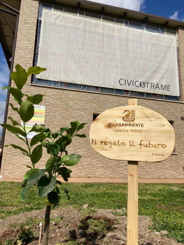 images Più verde a "Civico Trame": 30 nuovi alberi donati da Legambiente arricchiscono Via degli Oleandri a Lamezia Terme