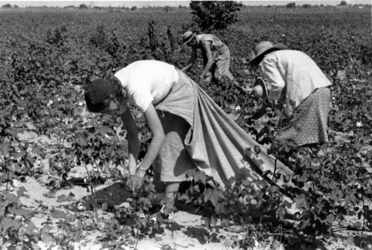 images Sfruttamento e molestie: il rapporto di Actionaid denuncia la condizione delle donne che lavorano in agricoltura