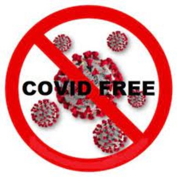 images Tutti guariti i positivi al Coronavirus: Girifalco è Covid free