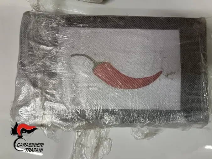 Droga 'al peperoncino', arrestati 2 calabresi in trasferta a Trapani