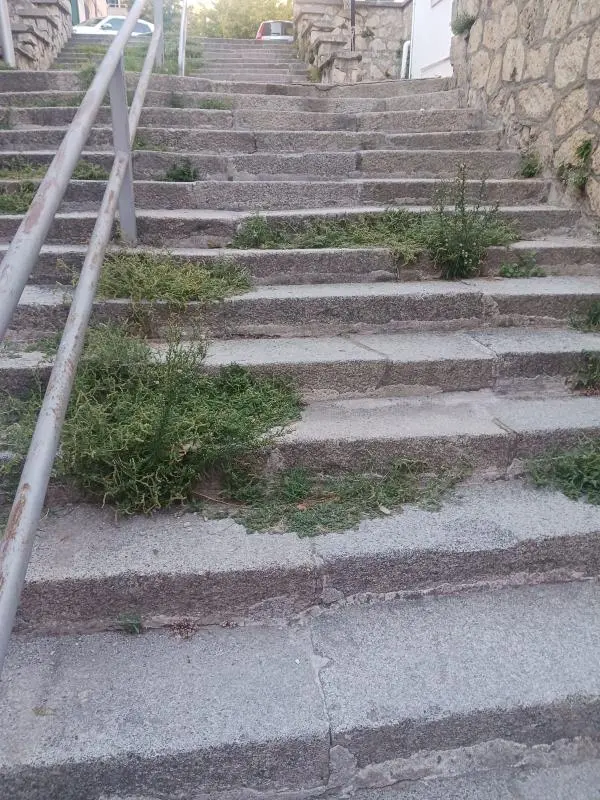 Catanzaro, la segnalazione: "Le scalinate di San Leonardo in preda al degrado" 