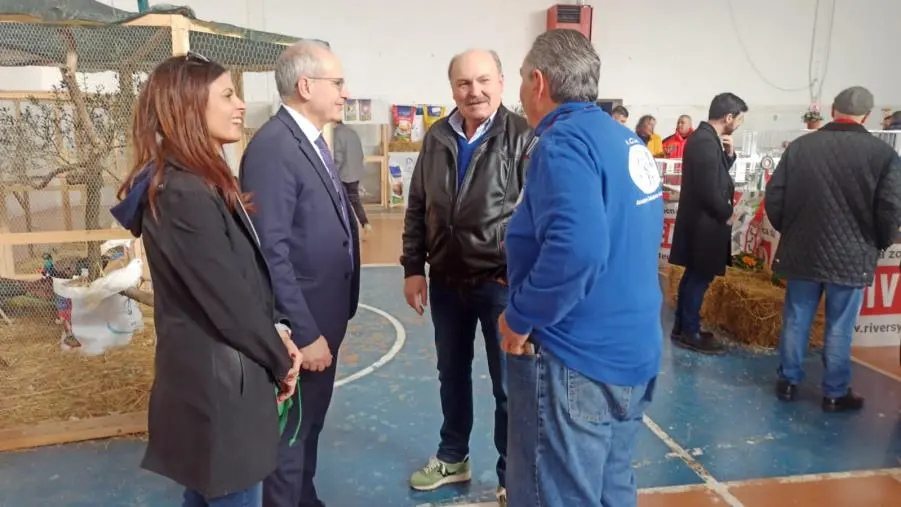 Lamezia celebra la X Mostra intersociale di avicoli e colombi ornamentali