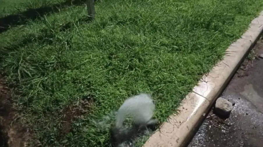 Vandalizzati irrigatori sul lungomare di Catanzaro, Arcuri: "Più controlli contro gli incivili"  