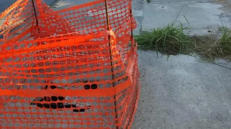 images Alleanza per Catanzaro: “Fiorita e la città dei cantieri trasformati in pollai”