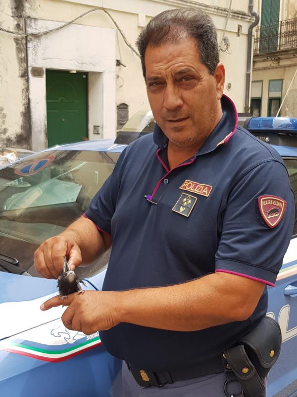 images Il sovrintendente capo Antonio Cunsolo va in pensione, il saluto del P.N.F.D: “Figura di riferimento della Questura di Catanzaro"