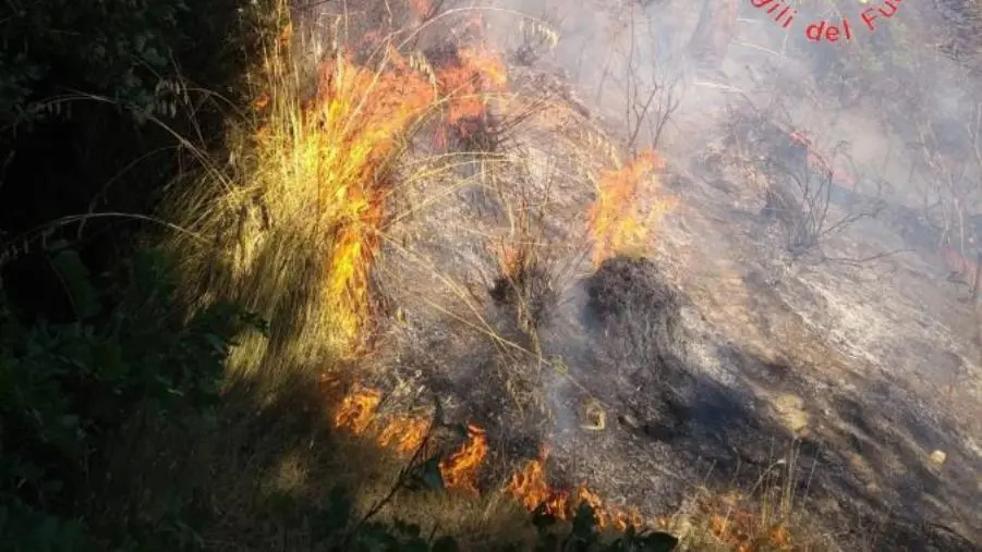 Paura a Belvedere Spinello, manda in fumo 3 ettari di terreno e resta  ustionato: arrestato 