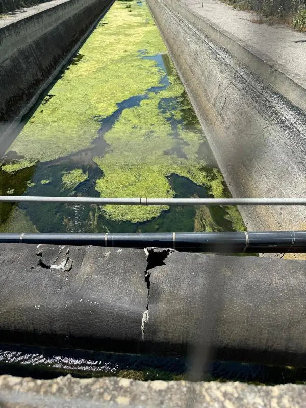 Lamezia Terme, individuato danno a condotta fognaria che inquina il mare 